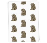 Azeeda 5 x A1 'British Shorthair Cat Licking Paw' Gift Wrap/Wrapping Paper Sheets (GI00120878)