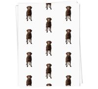 Azeeda 5 x A1 'Chocolate Labrador Retriever' Gift Wrap/Wrapping Paper Sheets (GI00129624)
