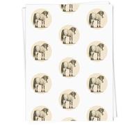 Azeeda 5 x A1 'Dapple Cob Horse Standing' Gift Wrap/Wrapping Paper Sheets (GI00117965)