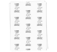 Azeeda 5 x A1 'I Came. I Saw. I Rolled a Critical' Gift Wrap/Wrapping Paper Sheets (GI00118574)