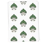 Azeeda 5 x A1 'Natures Green Moth' Gift Wrap/Wrapping Paper Sheets (GI00128343)