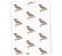 Azeeda 5 x A1 'Zebra Finch ' Gift Wrap/Wrapping Paper Sheets (GI00127680)