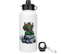 Azeeda 600ml 'Troll on Rock' Reusable Water/Drinks Bottle (WT00102632)