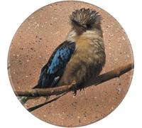 Azeeda 77mm 'Colorful Kookaburra on a Branch - Exotic Bird' Large Button Pin Badge (BB00152443)