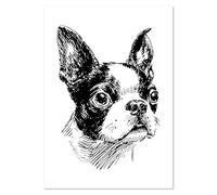 Azeeda A0+ 'Boston Terrier Portrait' Wall Poster/Print (PP00335115)