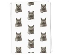 Azeeda A1 'British Shorthair Cat' Gift Wrap/Wrapping Paper Sheet (GI00113935)