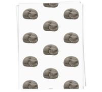Azeeda A1 'Curled Up Sleeping British Shorthair Cat' Gift Wrap/Wrapping Paper Sheet (GI00113943)