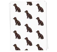 Azeeda A1 'Sprocker Spaniel' Gift Wrap/Wrapping Paper Sheet (GI00042728)
