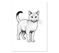 Azeeda A2 'Australian Mist Cat' Wall Poster/Print (PP00352792)