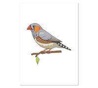 Azeeda A2 'Zebra Finch ' Wall Poster/Print (PP00347145)