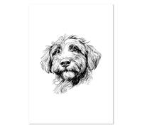 Azeeda A3 'Irish Doodle Puppy' Wall Poster/Print (PP00301422)