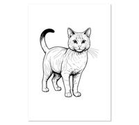 Azeeda A4 'Australian Mist Cat' Wall Poster/Print (PP00352790)