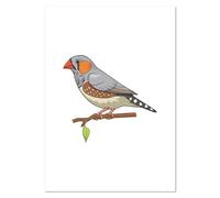 Azeeda A4 'Zebra Finch ' Wall Poster/Print (PP00347143)