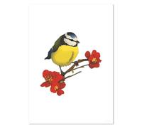 Azeeda A5 'Blue Tit on Flowering Branch' Wall Poster/Print (PP00313424)