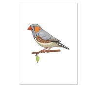 Azeeda A5 'Zebra Finch ' Wall Poster/Print (PP00347142)