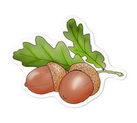 Azeeda 'Acorns & Leaves' White Premium Vinyl Decal Sticker - Waterproof, Durable & Easy to Apply - Ideal for Car Bumpers, Windows, Bins and More - Medium (100mm) (DW00052934)