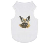 Azeeda 'African Bat-Eared Fox' Pet Dog/Cat T-Shirt, M (PT00168262)
