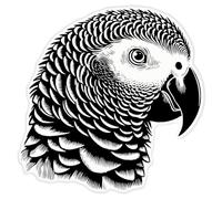 Azeeda 'African Grey Parrot' Clear Premium Vinyl Decal Stickers - Waterproof, Durable & Easy to Apply - for Car Bumpers, Windows, Bins & More - XL (460mm) (DC00143063)