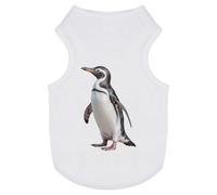Azeeda 'African Penguin' Pet Dog/Cat T-Shirt, L (PT00179263)