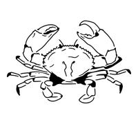 Azeeda 'Atlantic Sea Crab' Reusable Stencil - Durable Decorative Template for Painting and Spraying on Walls, Tiles, Wood, Fabric & Craft Projects - S (A6) (WS00070528)