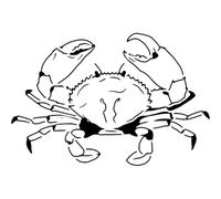 Azeeda 'Atlantic Sea Crab' Reusable Stencil - Durable Decorative Template for Painting and Spraying on Walls, Tiles, Wood, Fabric & Craft Projects - XL (A3) (WS00079983)
