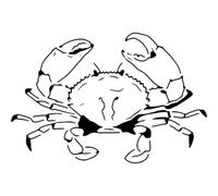 Azeeda 'Atlantic Sea Crab' Reusable Stencil - Durable Decorative Template for Painting and Spraying on Walls, Tiles, Wood, Fabric & Craft Projects - L (A4) (WS00061309)