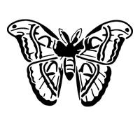 Azeeda 'Atlas Moth' Reusable Stencil - Durable Decorative Template for Painting and Spraying on Walls, Tiles, Wood, Fabric & Craft Projects - S (A6) (WS00071880)