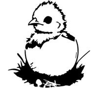 Azeeda 'Baby Chick Coming Out of Egg' Reusable Stencil - Durable Decorative Template for Painting and Spraying on Walls, Tiles, Wood, Fabric & Craft Projects - M (A5) (WS00059888)