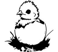 Azeeda 'Baby Chick Coming Out of Egg' Reusable Stencil - Durable Decorative Template for Painting and Spraying on Walls, Tiles, Wood, Fabric & Craft Projects - XXL (A2) (WS00078834)