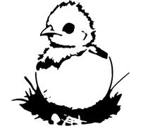 Azeeda 'Baby Chick Coming Out of Egg' Reusable Stencil - Durable Decorative Template for Painting and Spraying on Walls, Tiles, Wood, Fabric & Craft Projects - L (A4) (WS00059887)