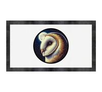 Azeeda 'Barn Owl By Moonlight' Pet Feeding Mat (PM00033039)