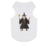 Azeeda 'Battle Wizard' Pet Dog/Cat T-Shirt, M (PT00178218)