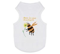 Azeeda 'Bee In The Moment ' Pet Dog/Cat T-Shirt, M (PT00168454)
