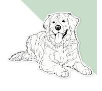 Azeeda 'Bernese Mountain Dog' Premium Vinyl Decal Sticker - Waterproof, Durable & Easy to Apply - Ideal for Cars, Windows, Bins and More - 720mm (XXL) (DW00158499)