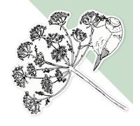 Azeeda 'Bird On Queen Anne's Lace' Premium Vinyl Decal Sticker - Waterproof, Durable & Easy to Apply - Ideal for Cars, Windows, Bins and More - 720mm (XXL) (DW00157918)