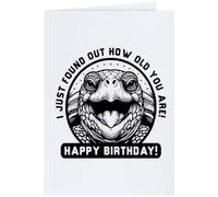 Azeeda 'Birthday Tortoise' Greeting Card - A4 (GC00099502)