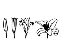 Azeeda 'Bloom Lily' Reusable Stencil - Durable Decorative Template for Painting and Spraying on Walls, Tiles, Wood, Fabric & Craft Projects - M (A5) (WS00057750)