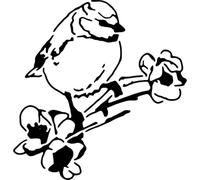 Azeeda 'Blue Tit on Flowering Branch' Reusable Stencil - Durable Decorative Template for Painting and Spraying on Walls, Tiles, Wood, Fabric & Craft Projects - S (A6) (WS00070132)