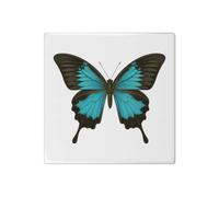 Azeeda 'Blue Ulysses Butterfly' Ceramic Tile - 108mm Square (TD00046586) | Decorative Art Tile / Coaster for Kitchens and Home Decor