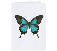 Azeeda 'Blue Ulysses Butterfly' Greeting Card - A4 (GC00102924) | Blank Inside for Birthdays, Thank You Notes, Invitations and Gifts