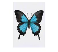 Azeeda 'Blue Ulysses Butterfly' Temporary Tattoo - A6 (TO00071815)