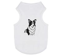 Azeeda 'Border Collie Portrait' Pet Dog/Cat T-Shirt, M (PT00175890)