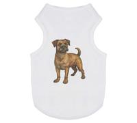 Azeeda 'Border Terrier Standing' Pet Dog/Cat T-Shirt, S (PT00155837)