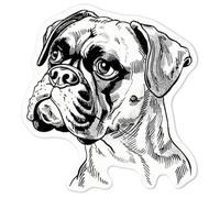 Azeeda 'Boxer Dog Portrait' Sticker - White, 10cm (DW00180337)