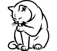 Azeeda 'British Shorthair Cat Licking Paw' Reusable Stencil - Durable Decorative Template for Painting and Spraying on Walls, Tiles, Wood, Fabric & Craft Projects - S (A6) (WS00071115)