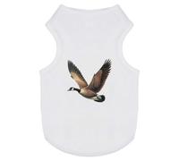 Azeeda 'Canada Goose Flying' Pet Dog/Cat T-Shirt, XS (PT00182588)