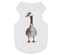 Azeeda 'Canada Goose' Pet Dog/Cat T-Shirt, S (PT00176861)
