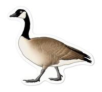 Azeeda 'Canadian Goose' White Premium Vinyl Decal Sticker - Waterproof, Durable & Easy to Apply - Ideal for Car Bumpers, Windows, Bins and More - Medium (100mm) (DW00054966)
