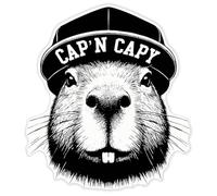 Azeeda 'Captain Capybara' Clear Premium Vinyl Decal Stickers - Waterproof, Durable & Easy to Apply - for Car Bumpers, Windows, Bins & More - XXL (720mm) (DC00161788)