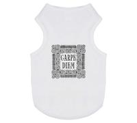 Azeeda 'Carpe Diem Motif' Pet Dog/Cat T-Shirt, XS (PT00189424)